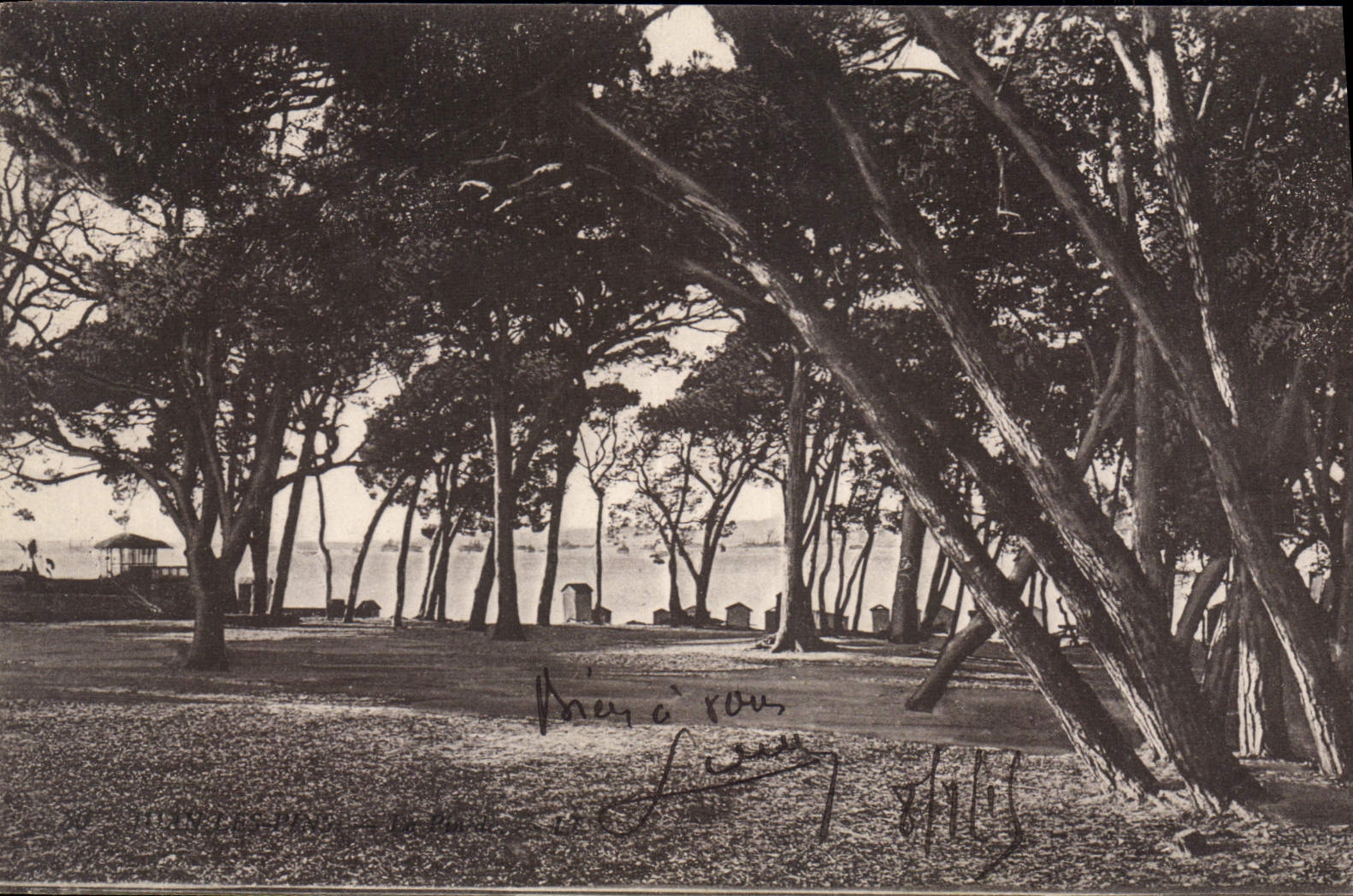 CPA Juan Les Pins La Pinede