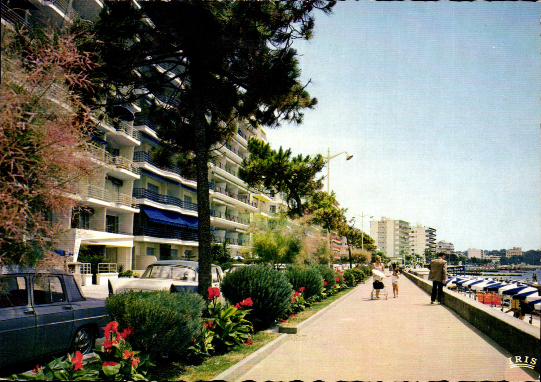 CPSM Juan Les Pins La Promenade Du Soleil