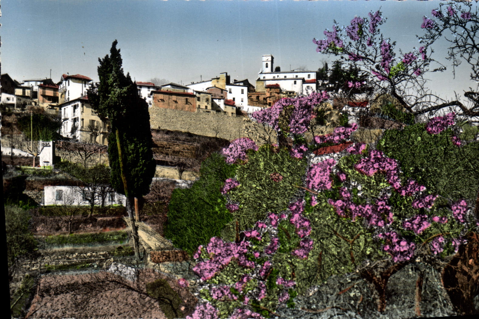 CPA Levens Au Printemps