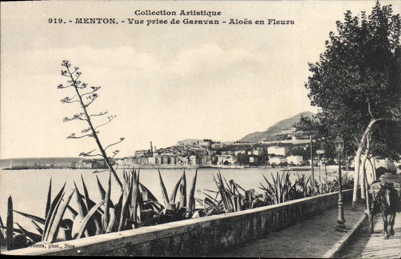 CPA Menton Vue Prise De Garavan Aloes En Fleurs