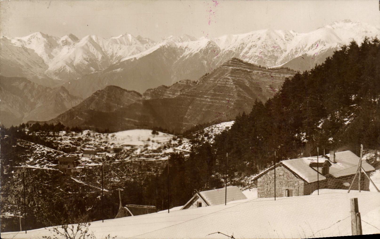 CPA Peira Cava La Chaine Des Alpes