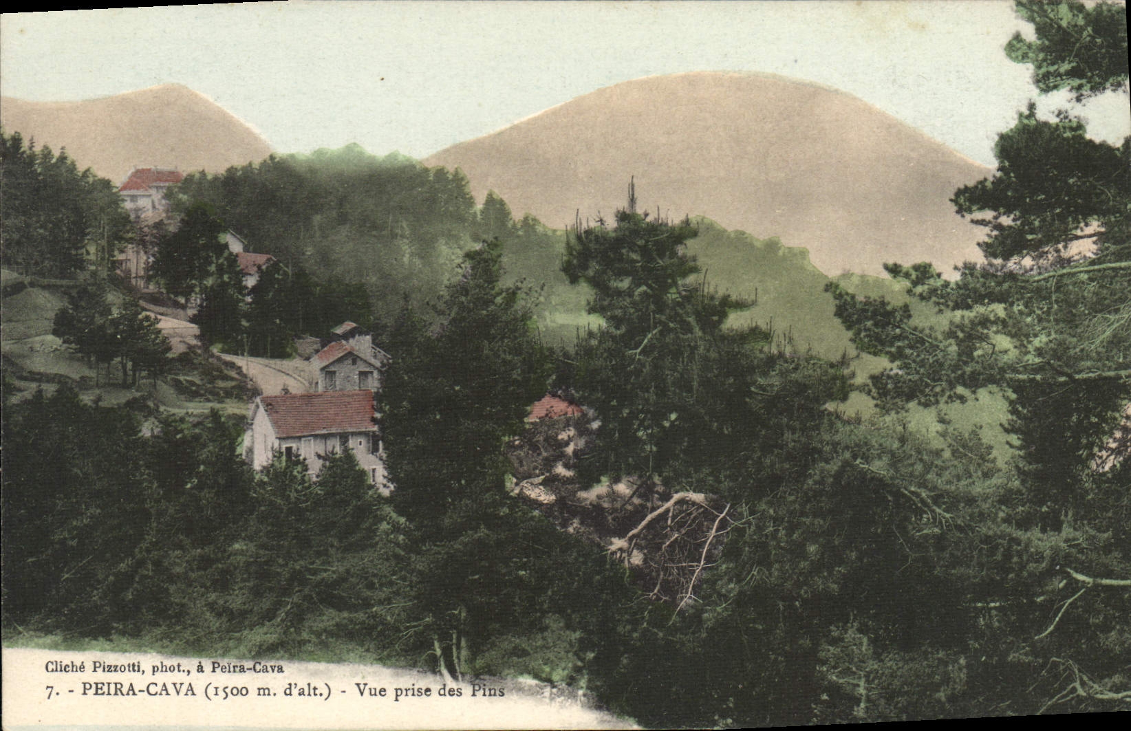 CPA Peira Cava Vue Prise Des Pins