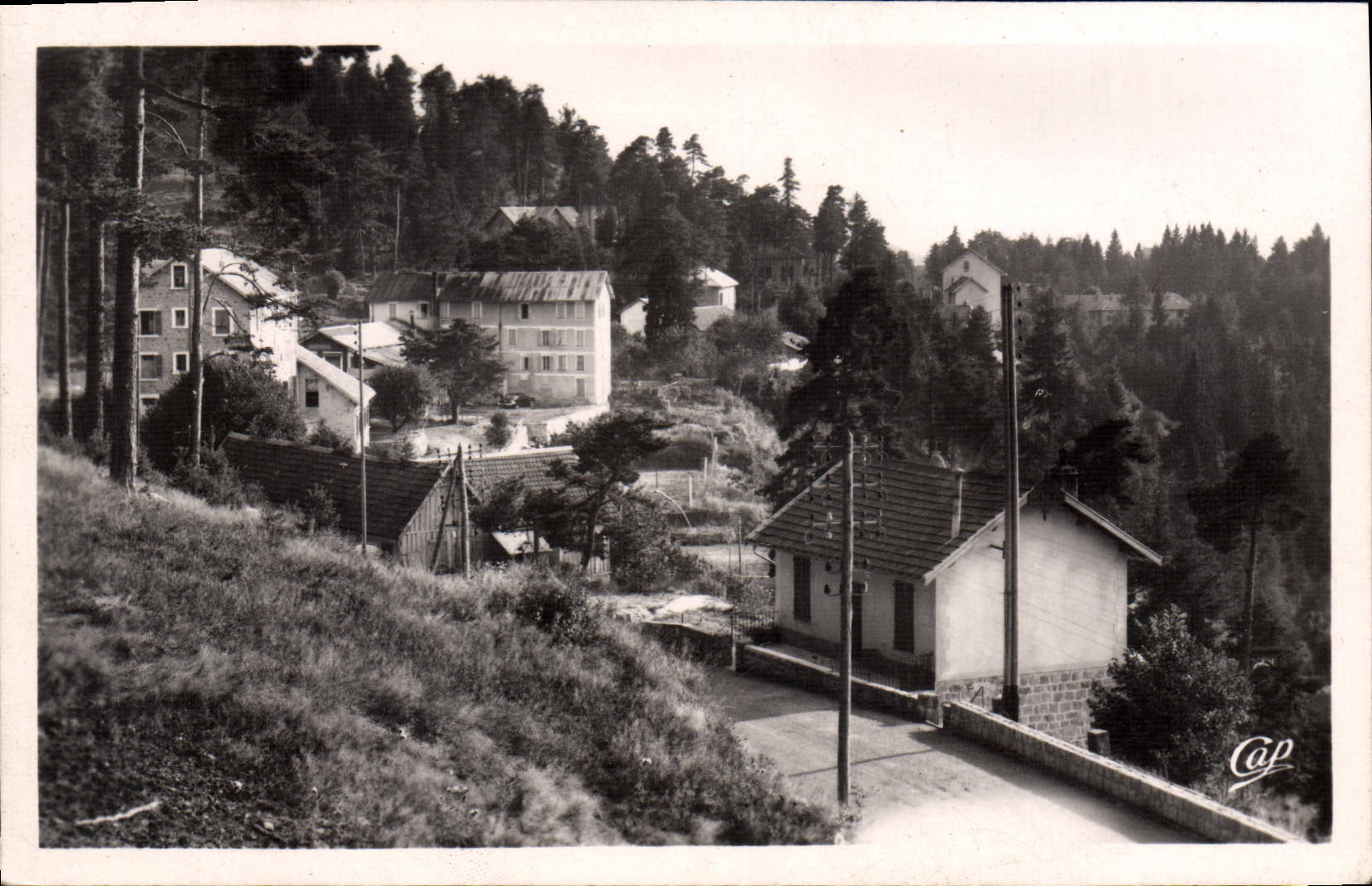 CPA Peira Cava Les Hotels Et La Foret