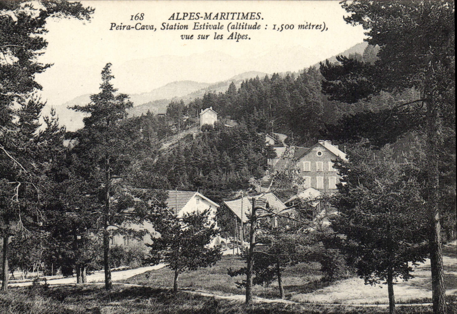 CPA Alpes Maritimes Peira Cava Station Estivale