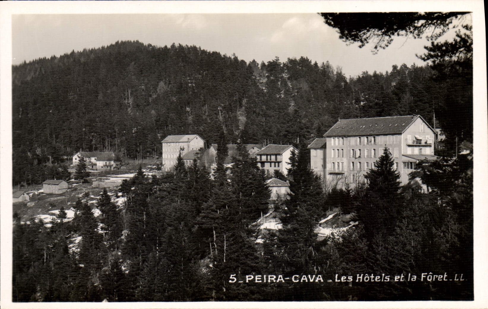 CPA Peira Cava Les Hotels Et La Foret