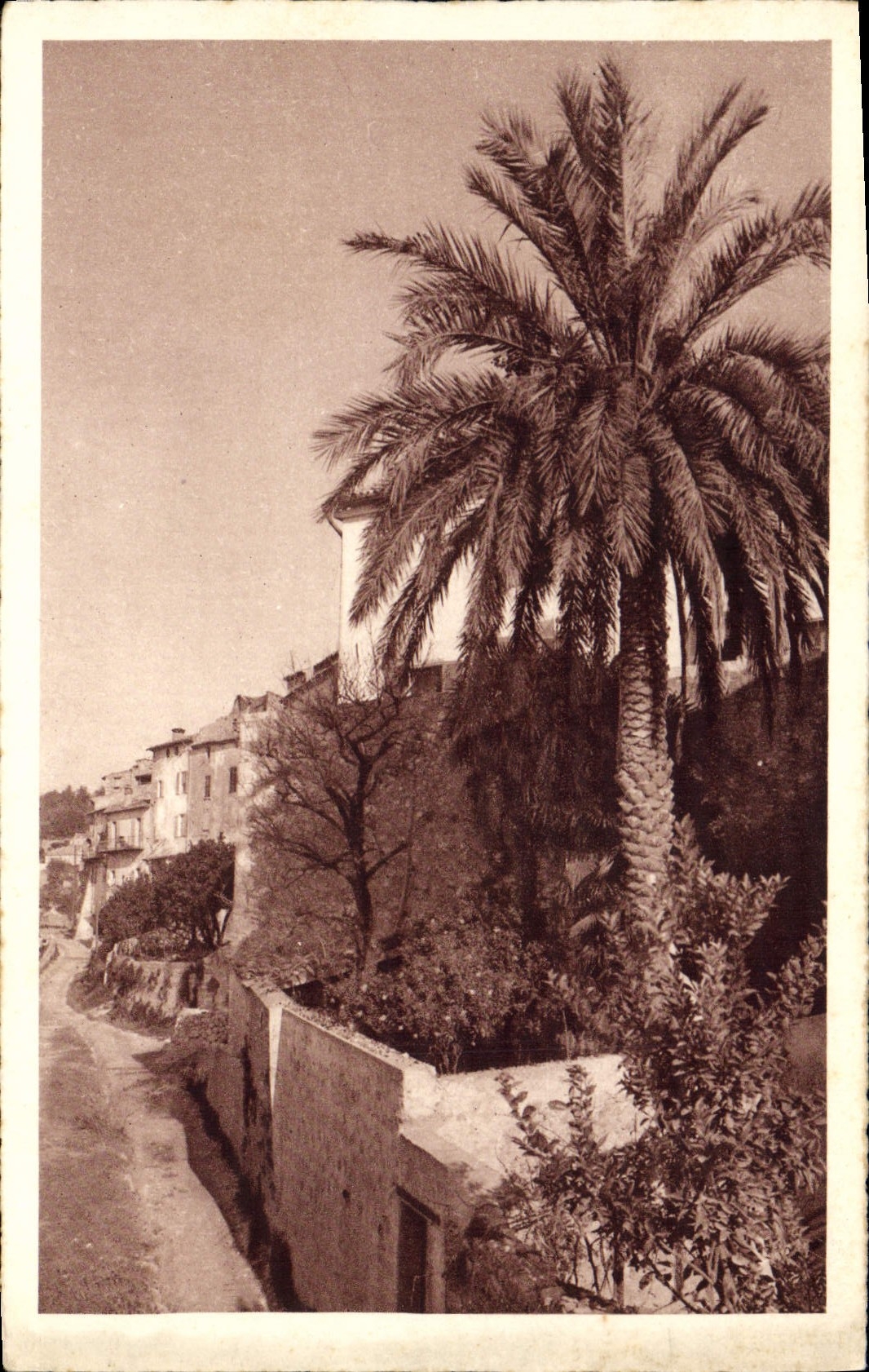 CPA SAINT-PAUL-de-VENCE les jardins sur les remparts