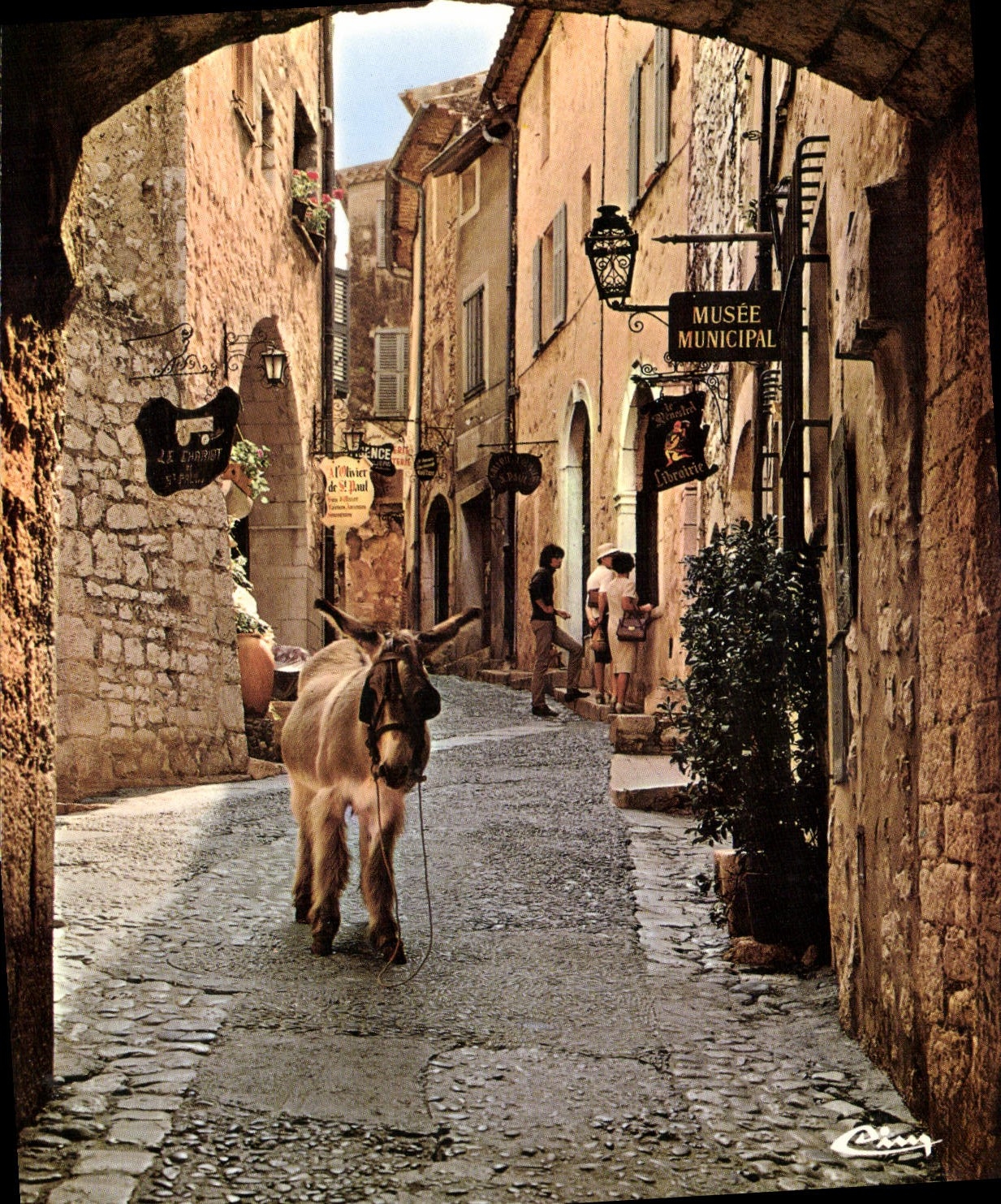 CPSM SAINT-PAUL-de-VENCE vieille rue âne
