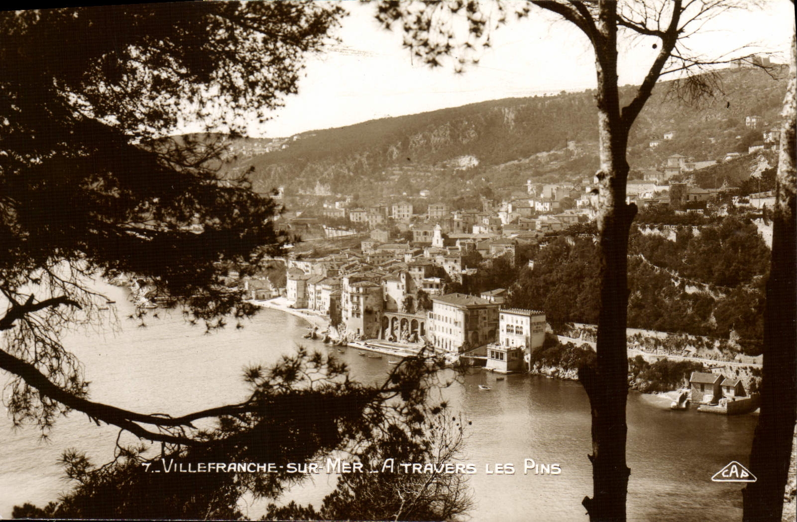 CPA VILLEFRANCHE-sur-MER à travers les pins