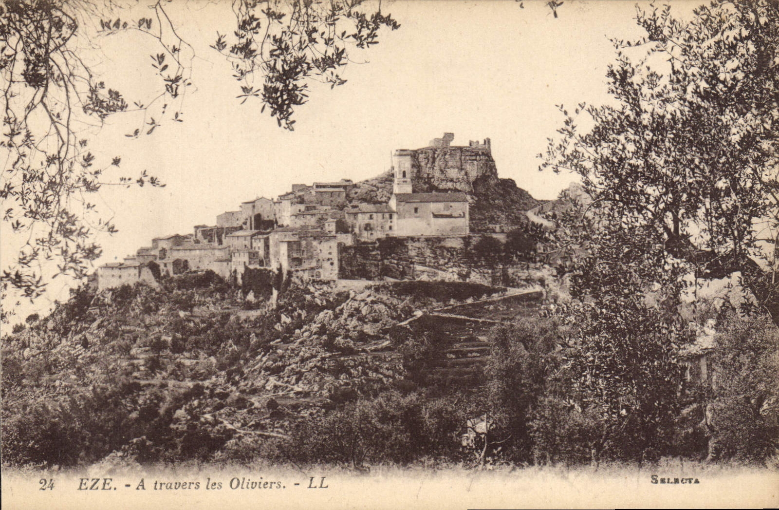 CPA EZE à travers les oliviers