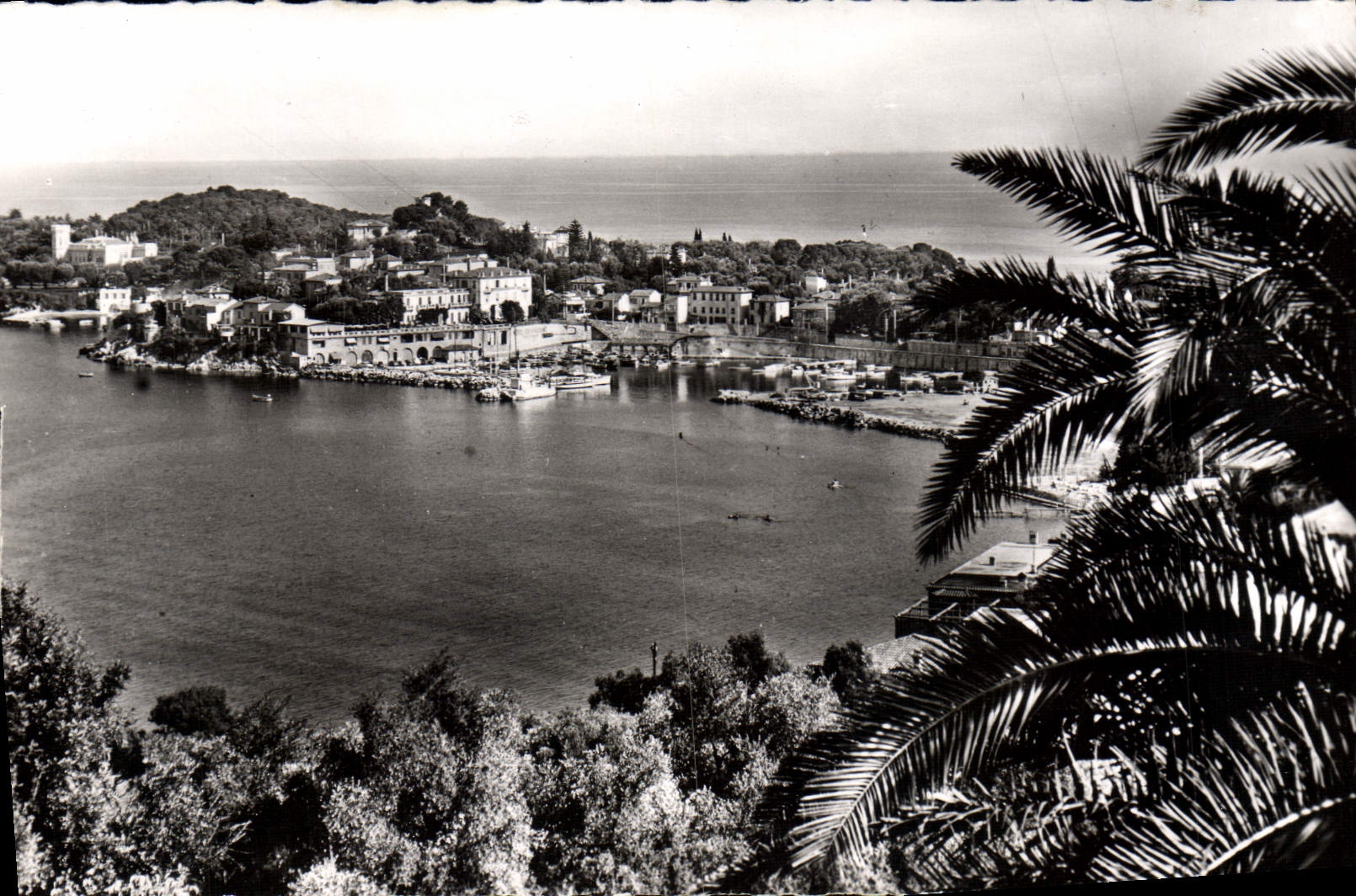 CPA SAINT-JEAN-CAP-FERRAT le port
