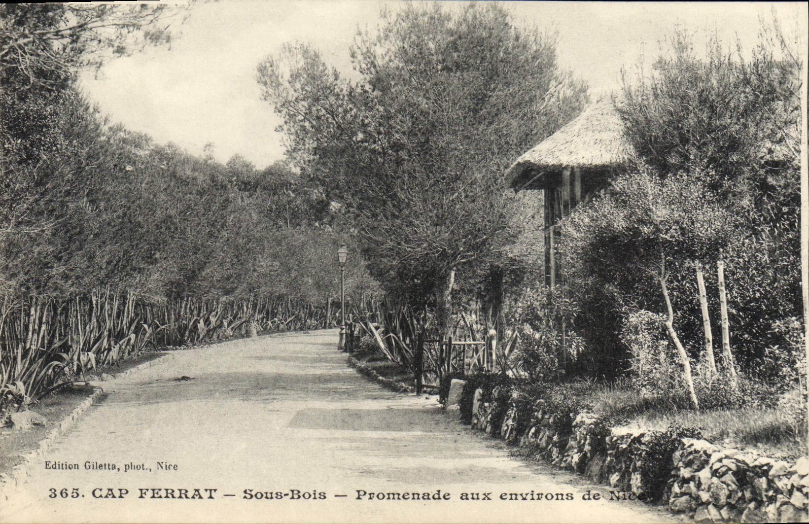 CPA CAP FERRAT sous-bois promenade