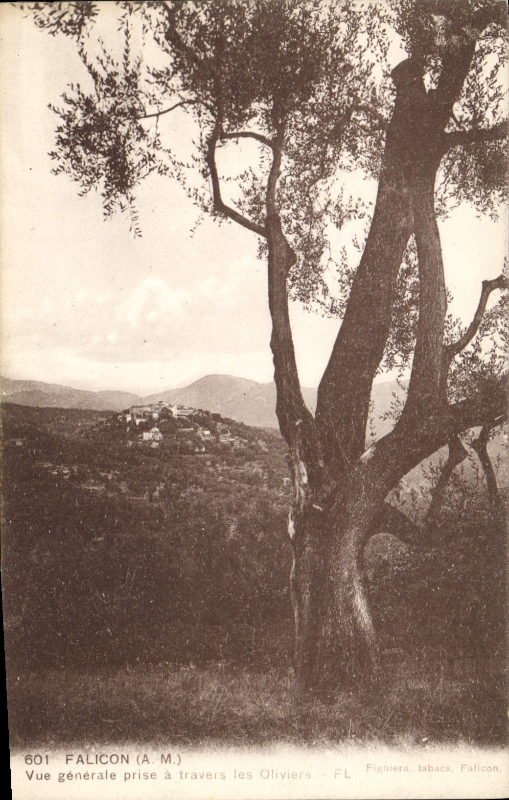 CPA FALICON vue générale