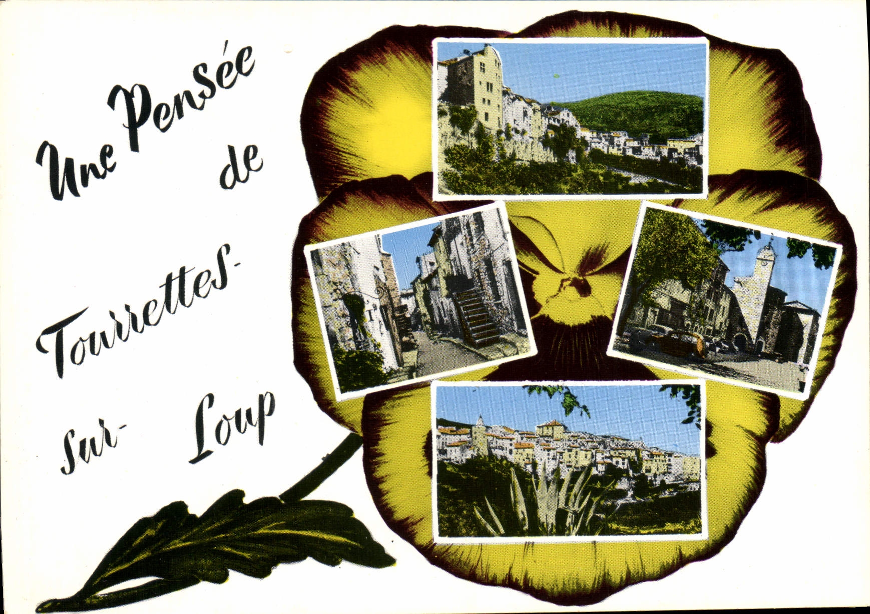 CPSM TOURRETTES-SUR-LOUP une pensée