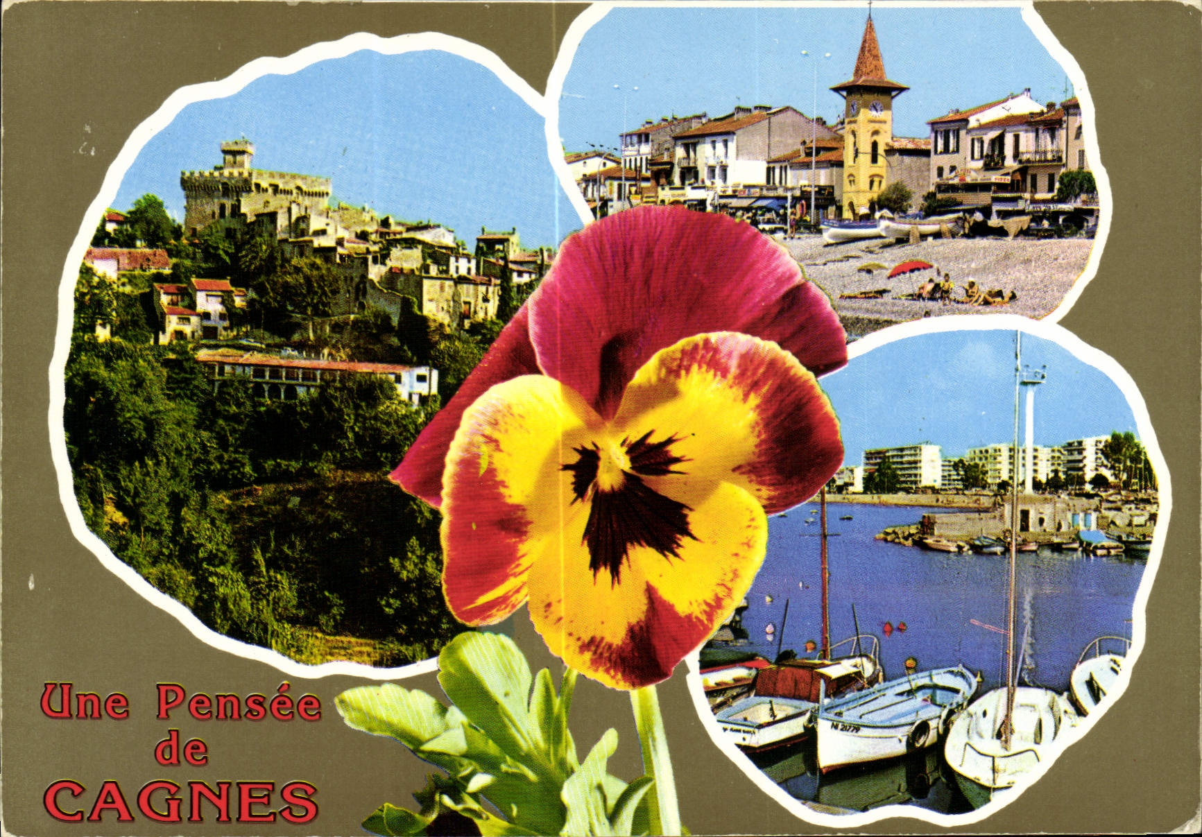 CPSM CAGNES-sur-MER une pensée