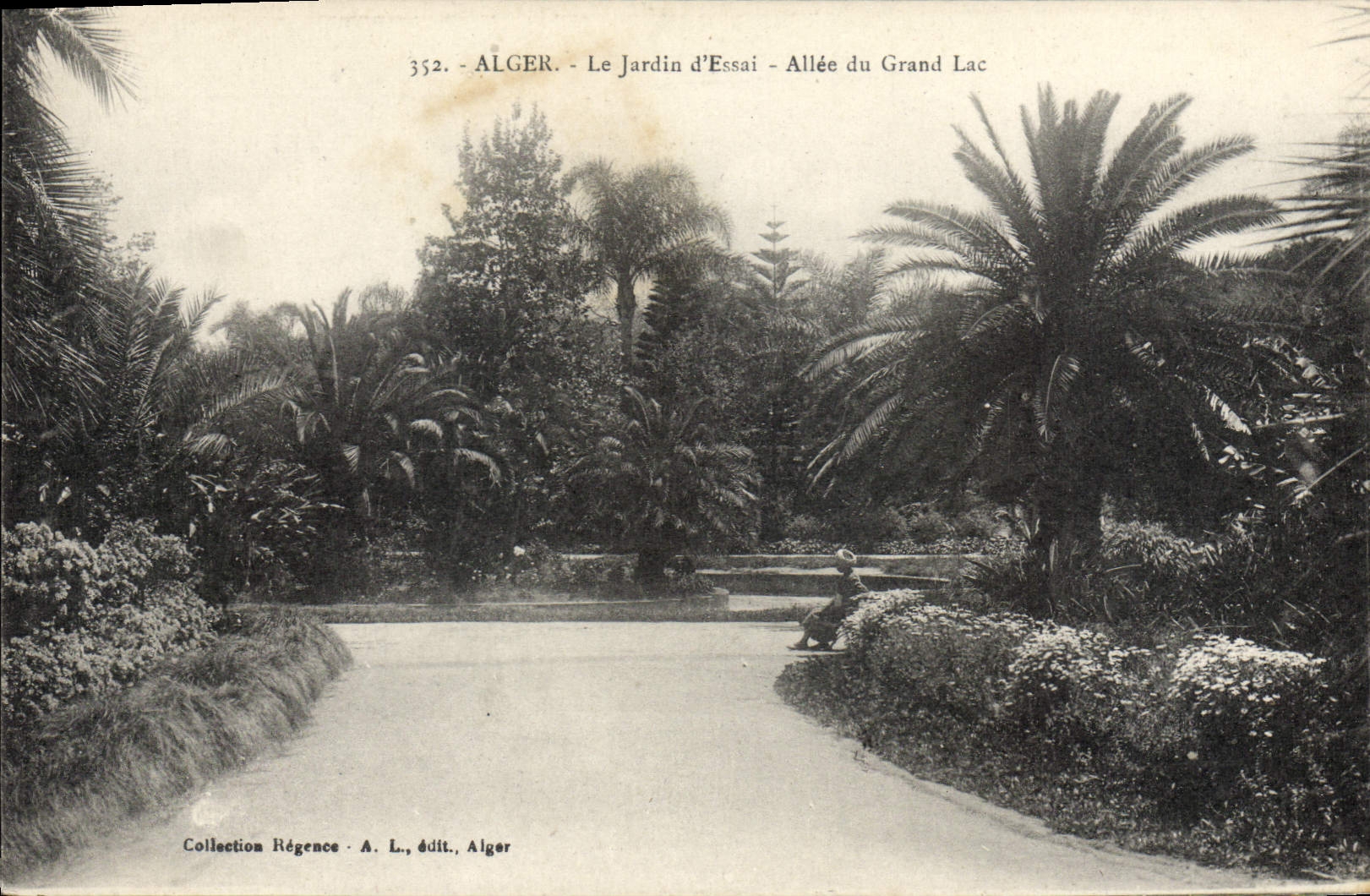 CPA ALGER jardin d'essai allée du grand lac