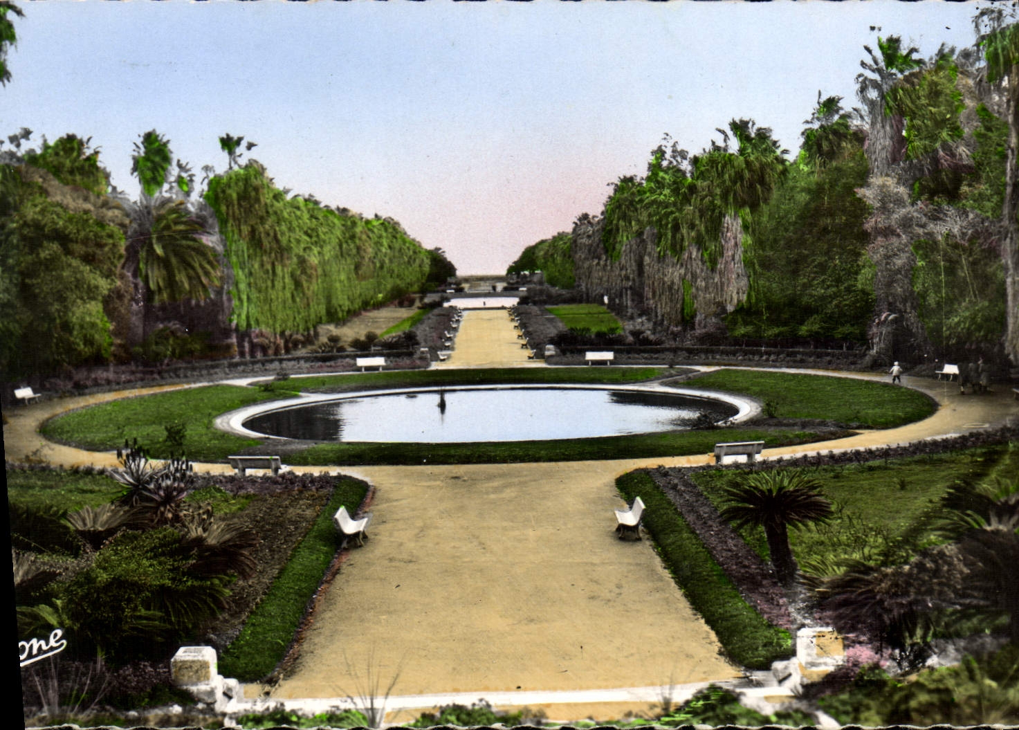 CPA ALGER jardin d'essai