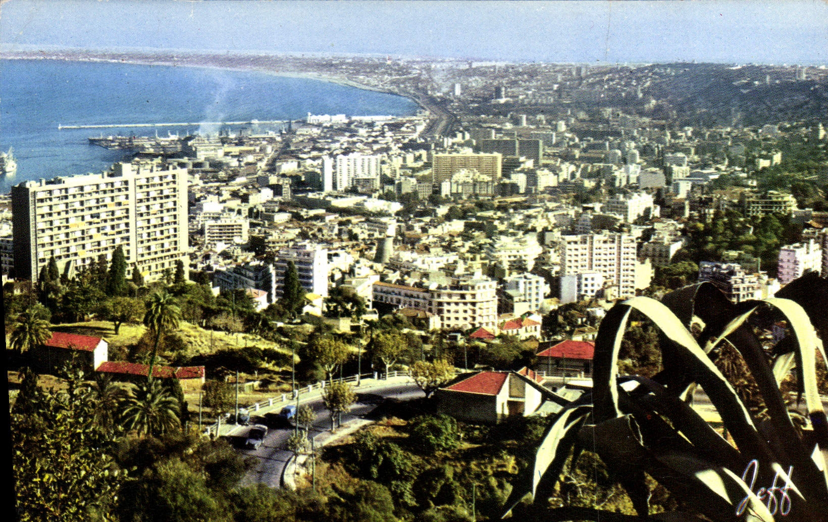 CPA ALGER vue panoramique