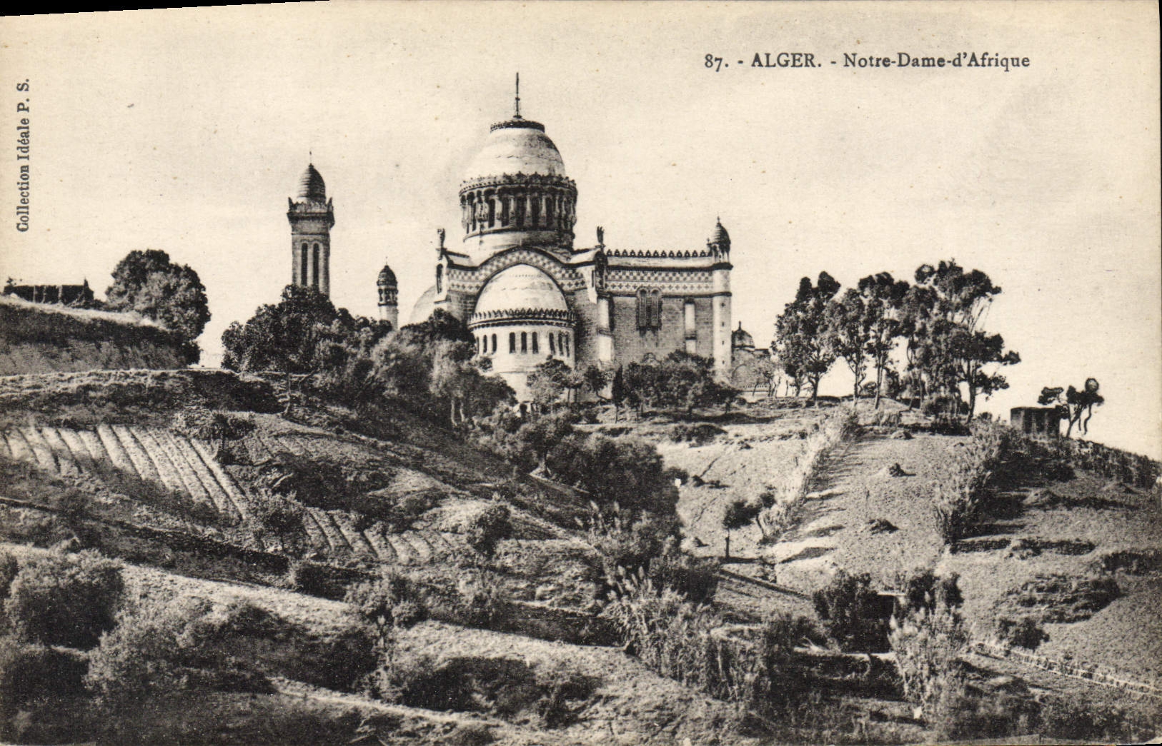 CPA ALGER Notre Dame d'Afrique