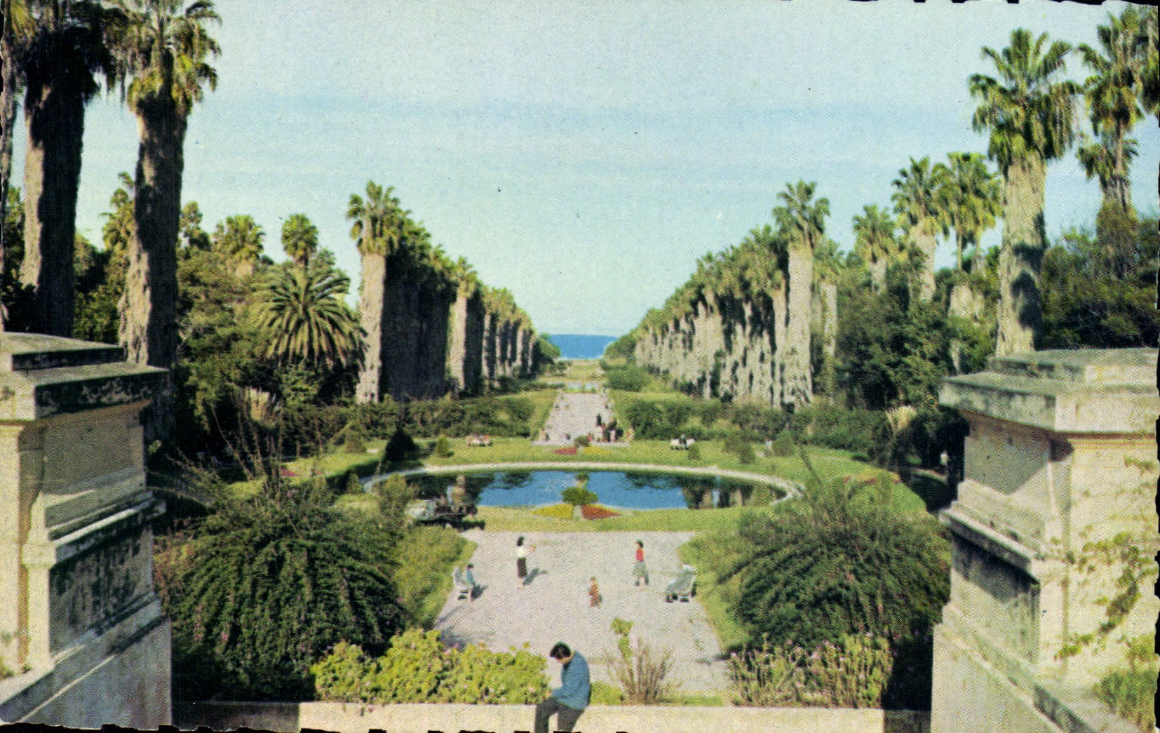 CPA ALGER jardin d'essai