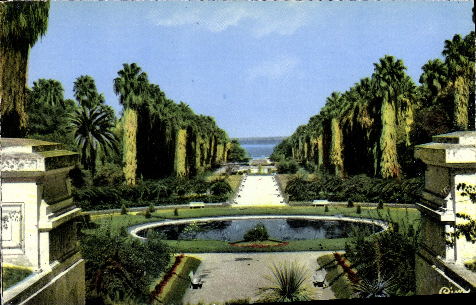 CPA ALGER jardin d'essai