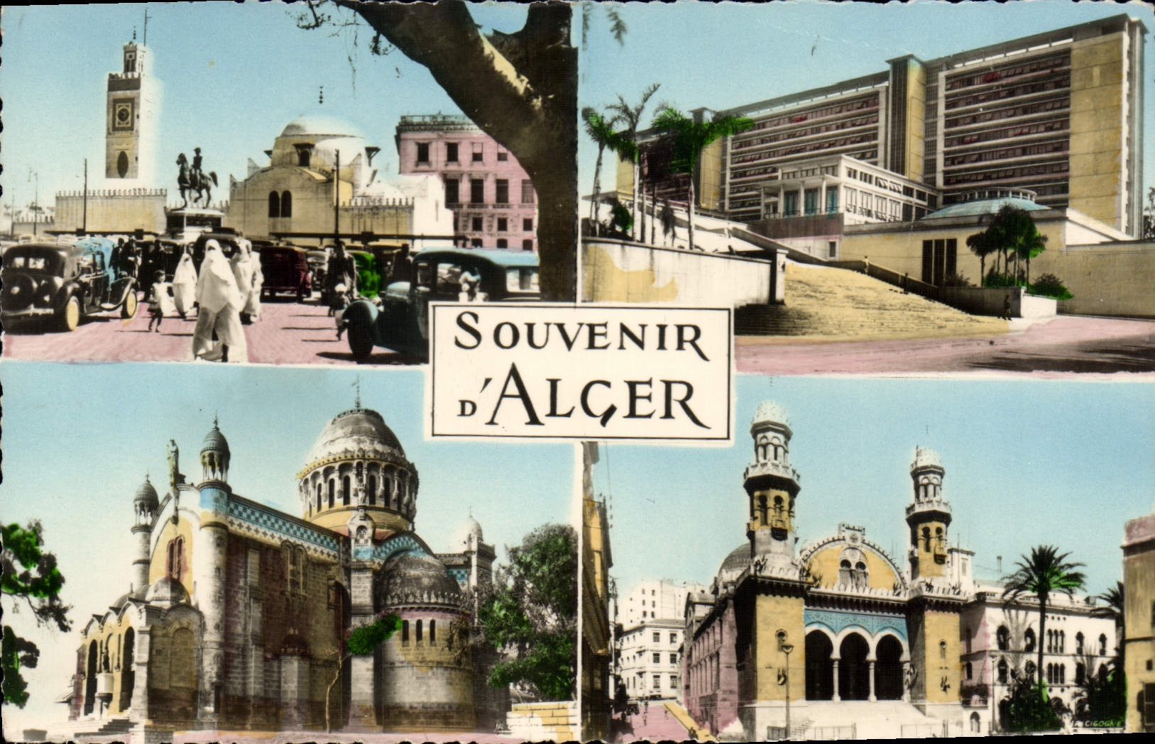 CPA souvenir d'ALGER