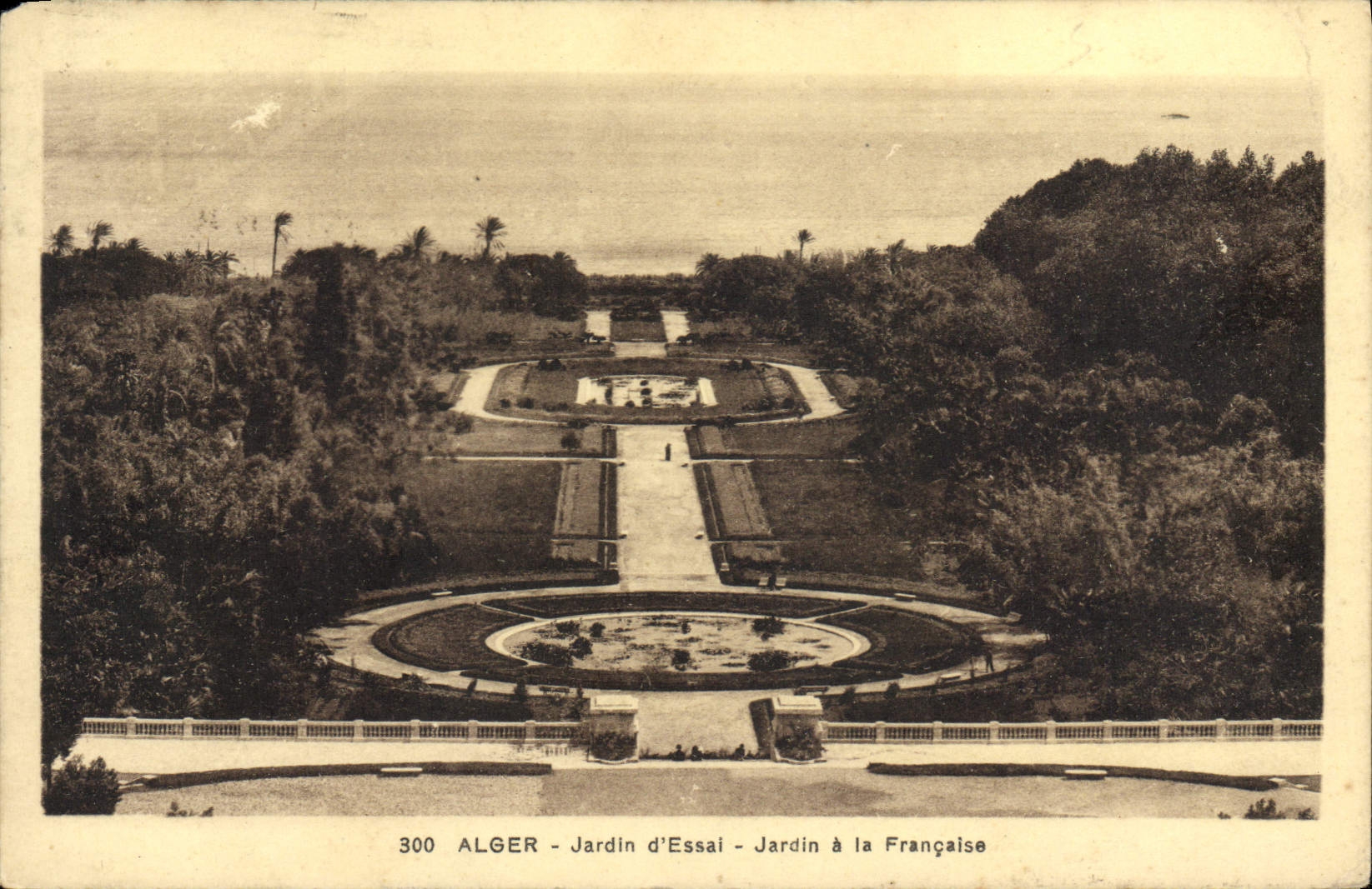 CPA ALGER jardin d'essai à la Française