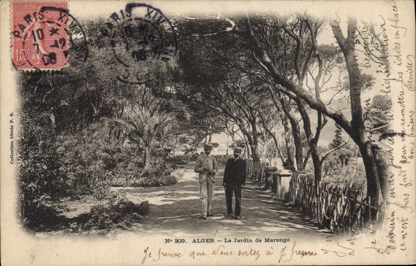 CPA ALGER jardin de Marengo