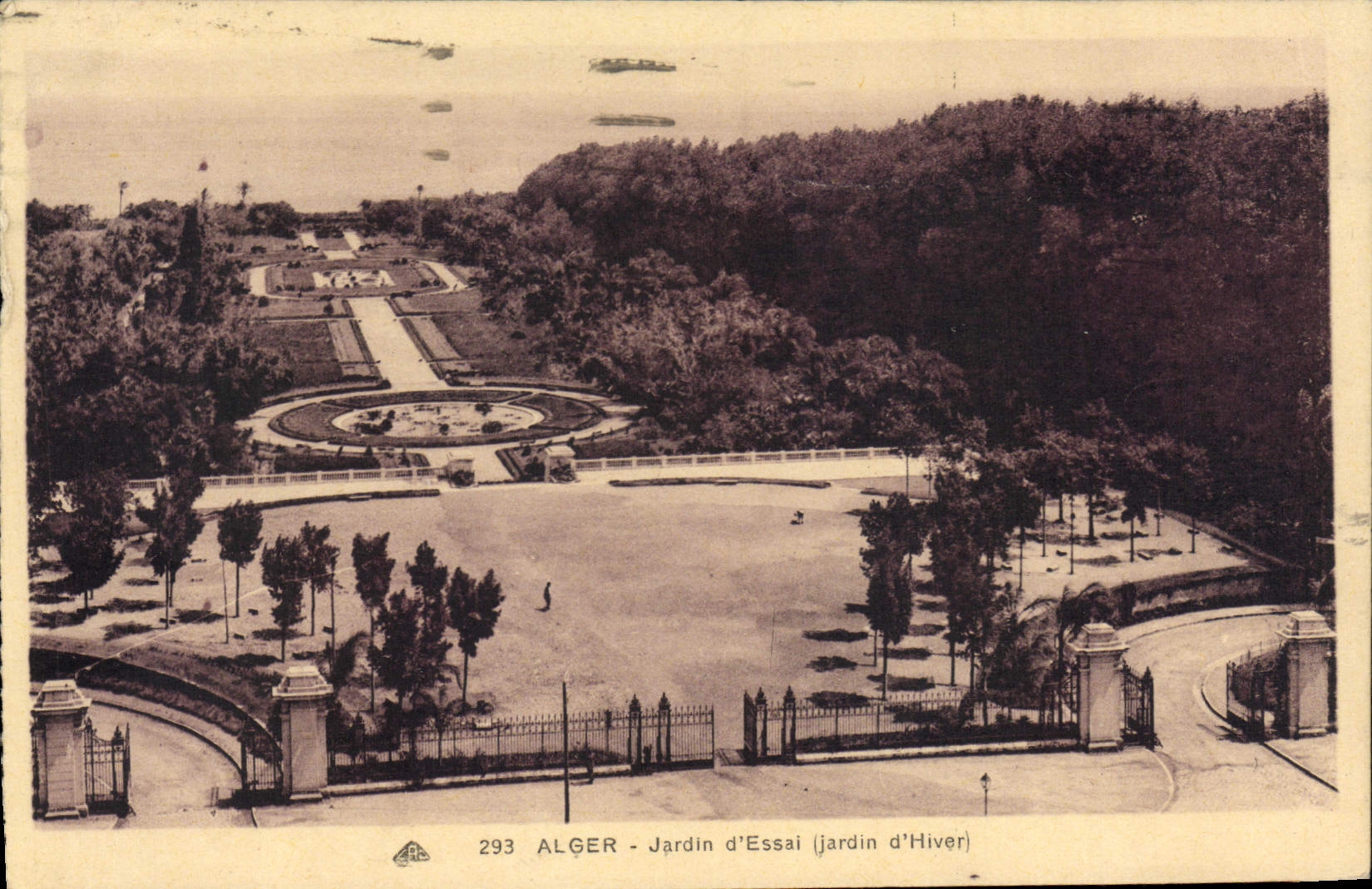CPA ALGER jardin d'essai jardin d'hiver