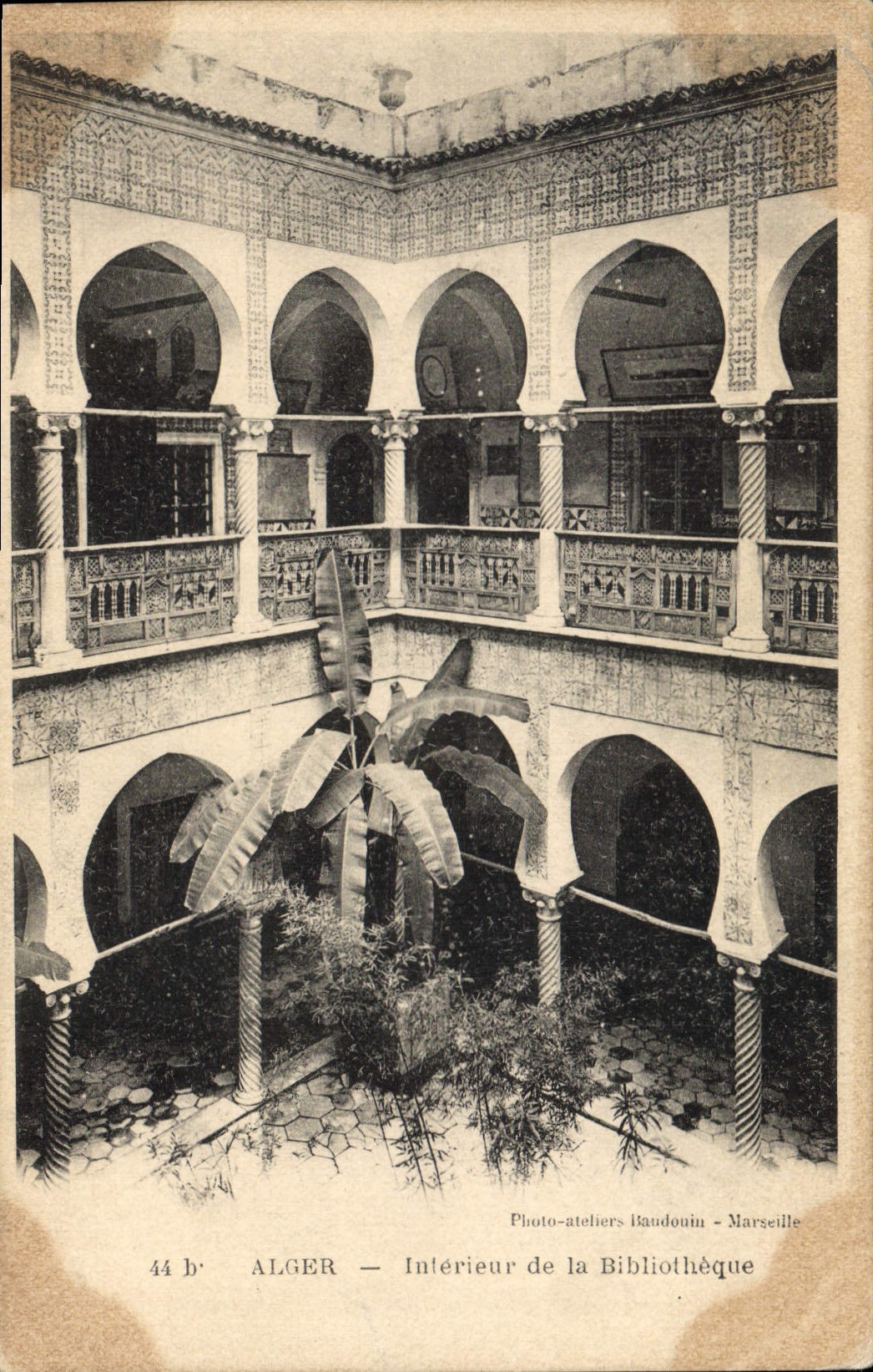 CPA ALGER bibliothèque