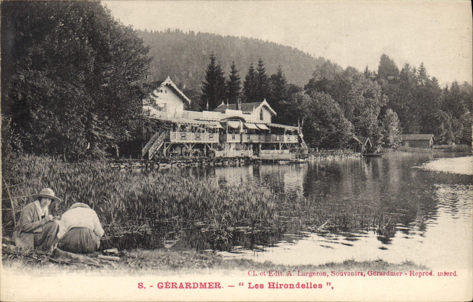 CPA Gerardmer Les Hirondelles