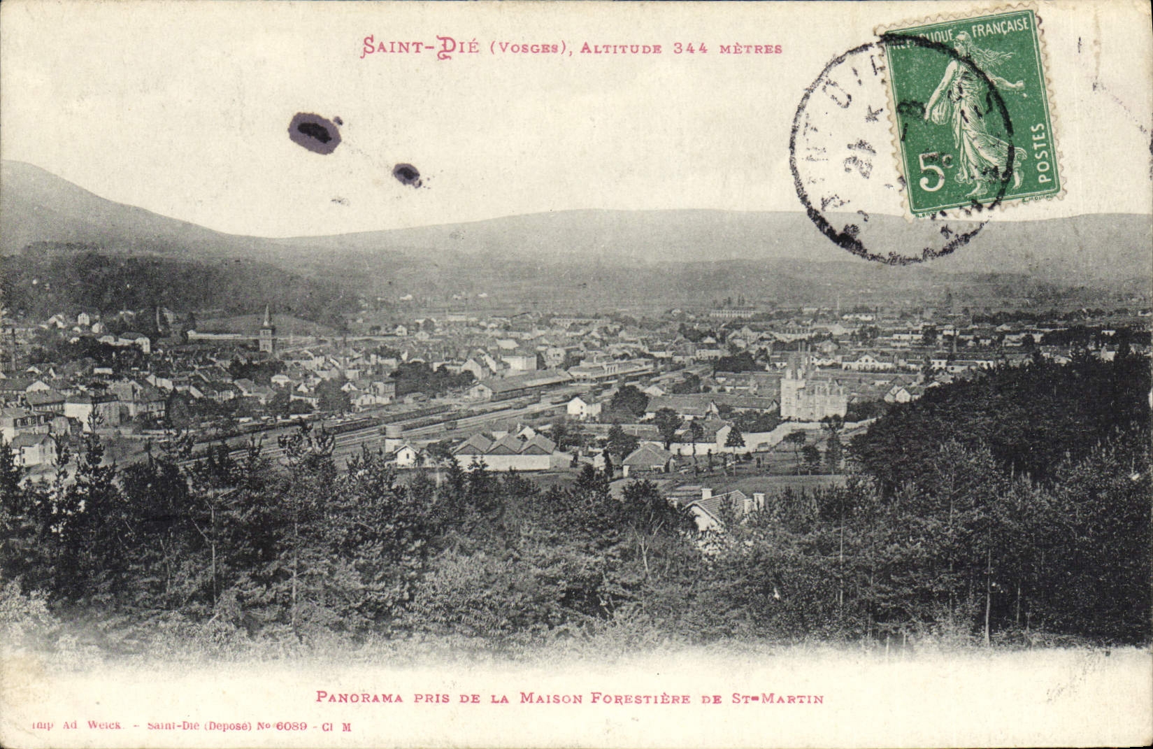 CPA Saint Die Panorama Pris De La Maison Forestiere de Saint Martin
