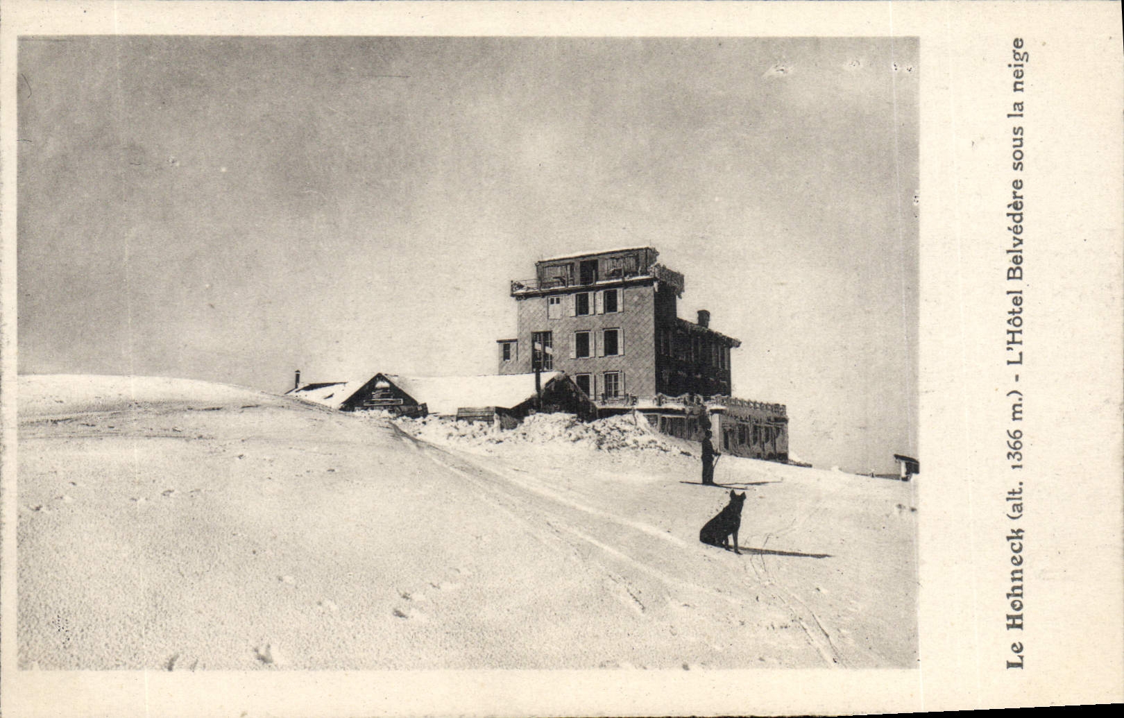 CPA Le Hohneck L'Hotel Belvedere Sous La Neige