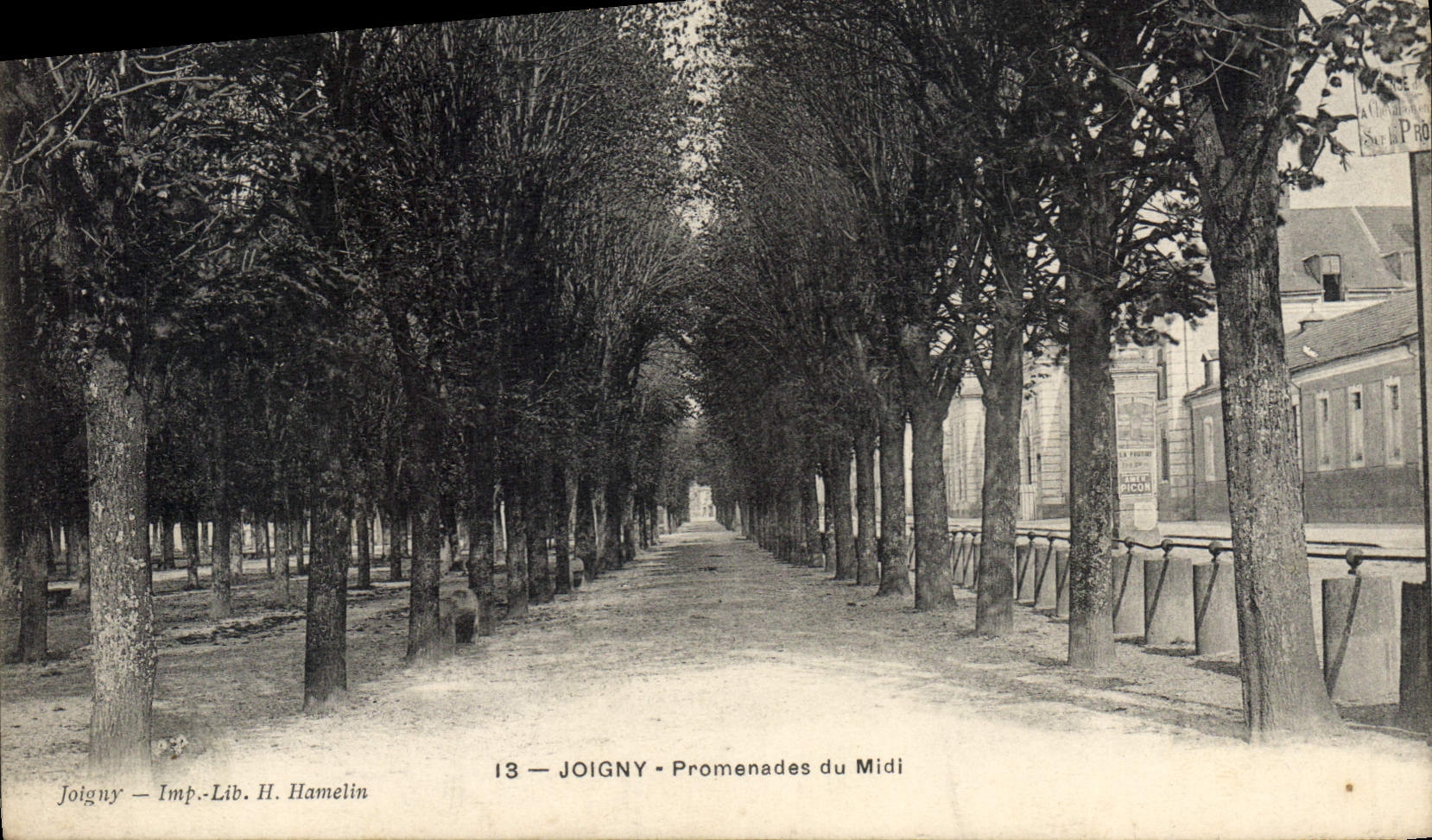 CPA Joigny Promenades Du Midi