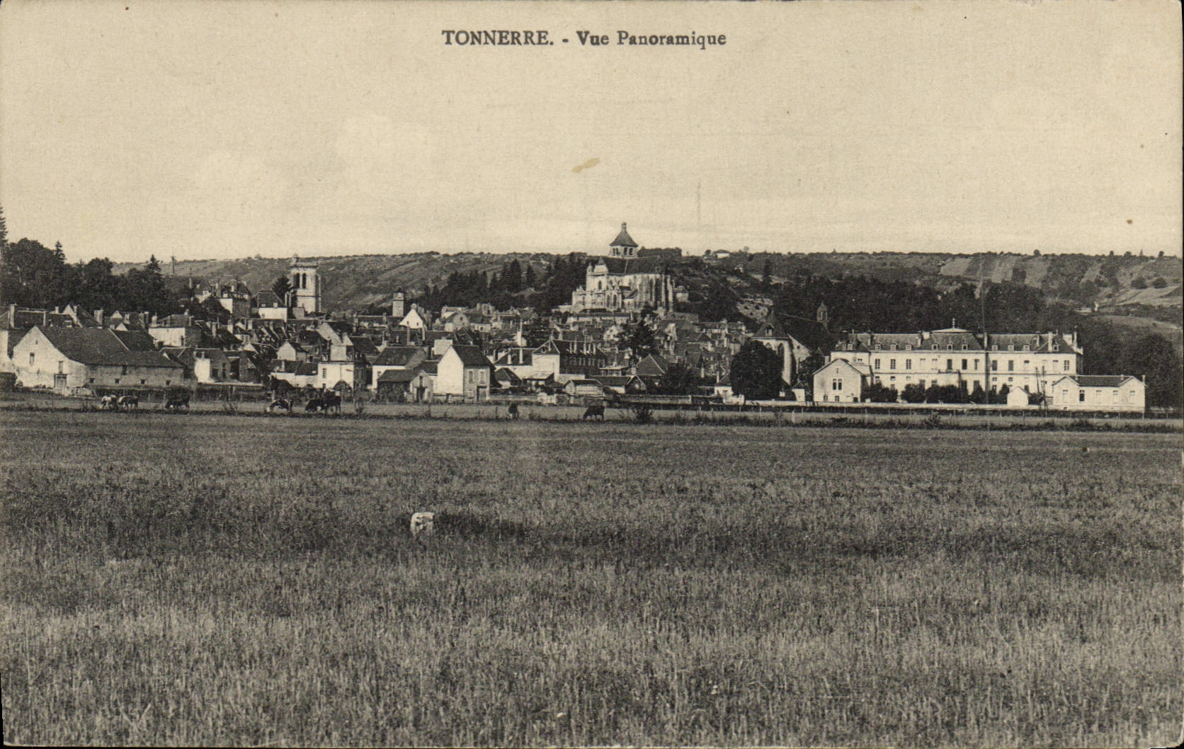 CPA Tonnerre Vue Panoramique