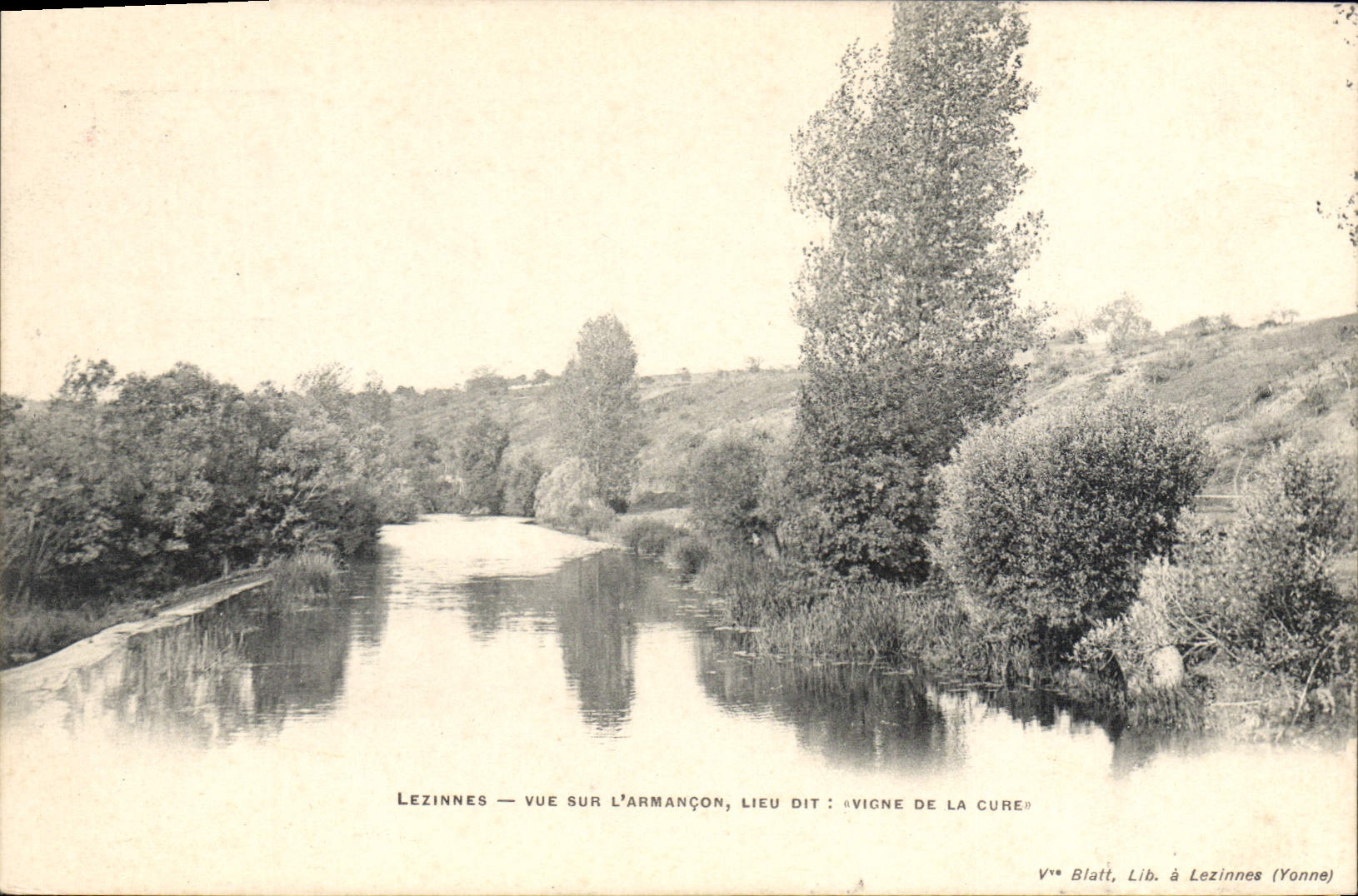 CPA Lezinnes Vue Sur L'Armancon Lieu Dit Vigne De La Cure