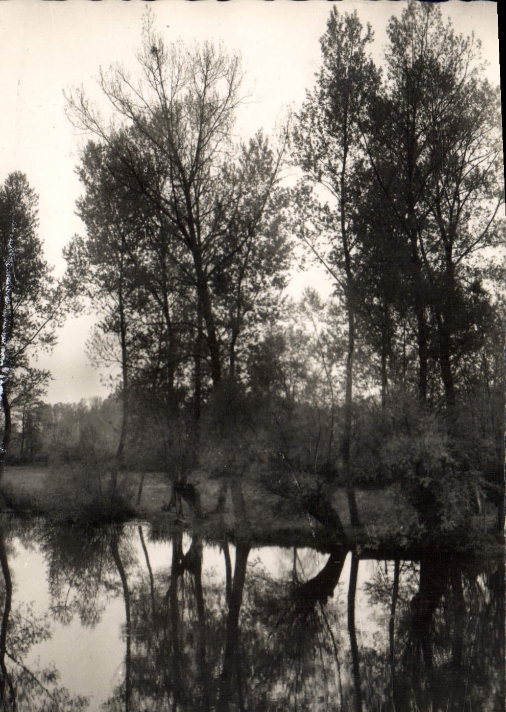 CPA Poilly Sur Serein Les Bords Du Serein