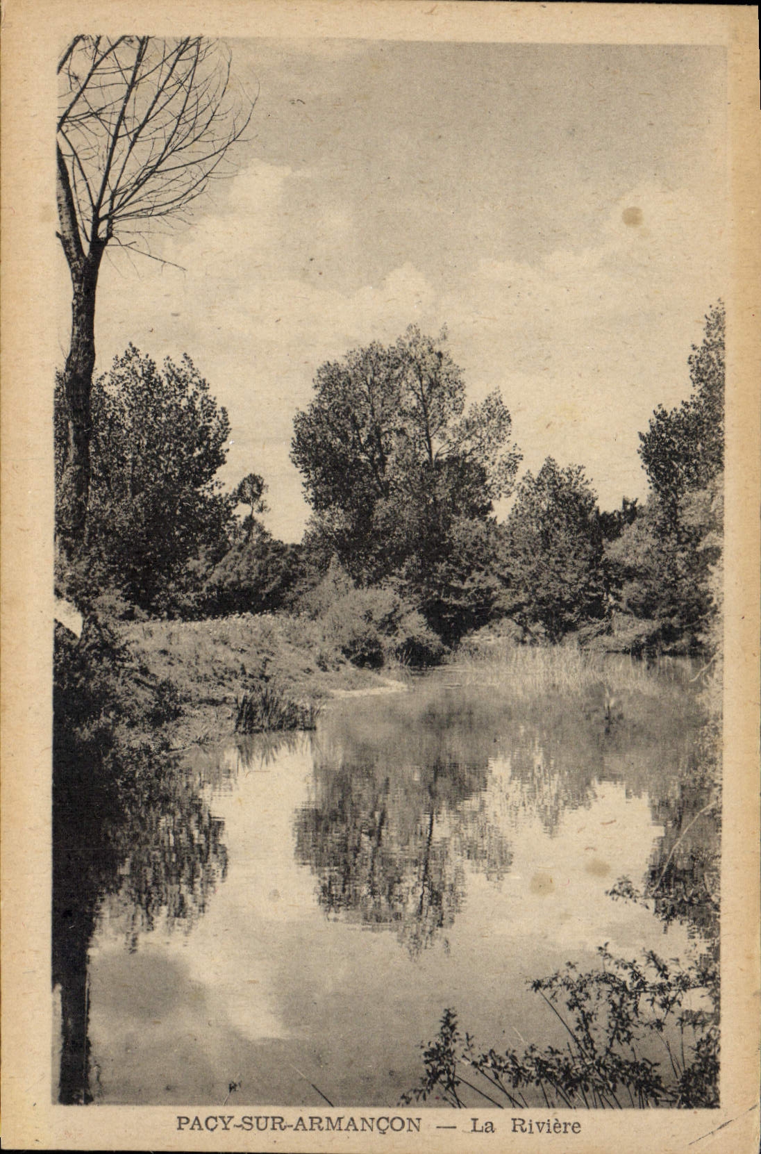 CPA Pacy Sur Armancon La Riviere