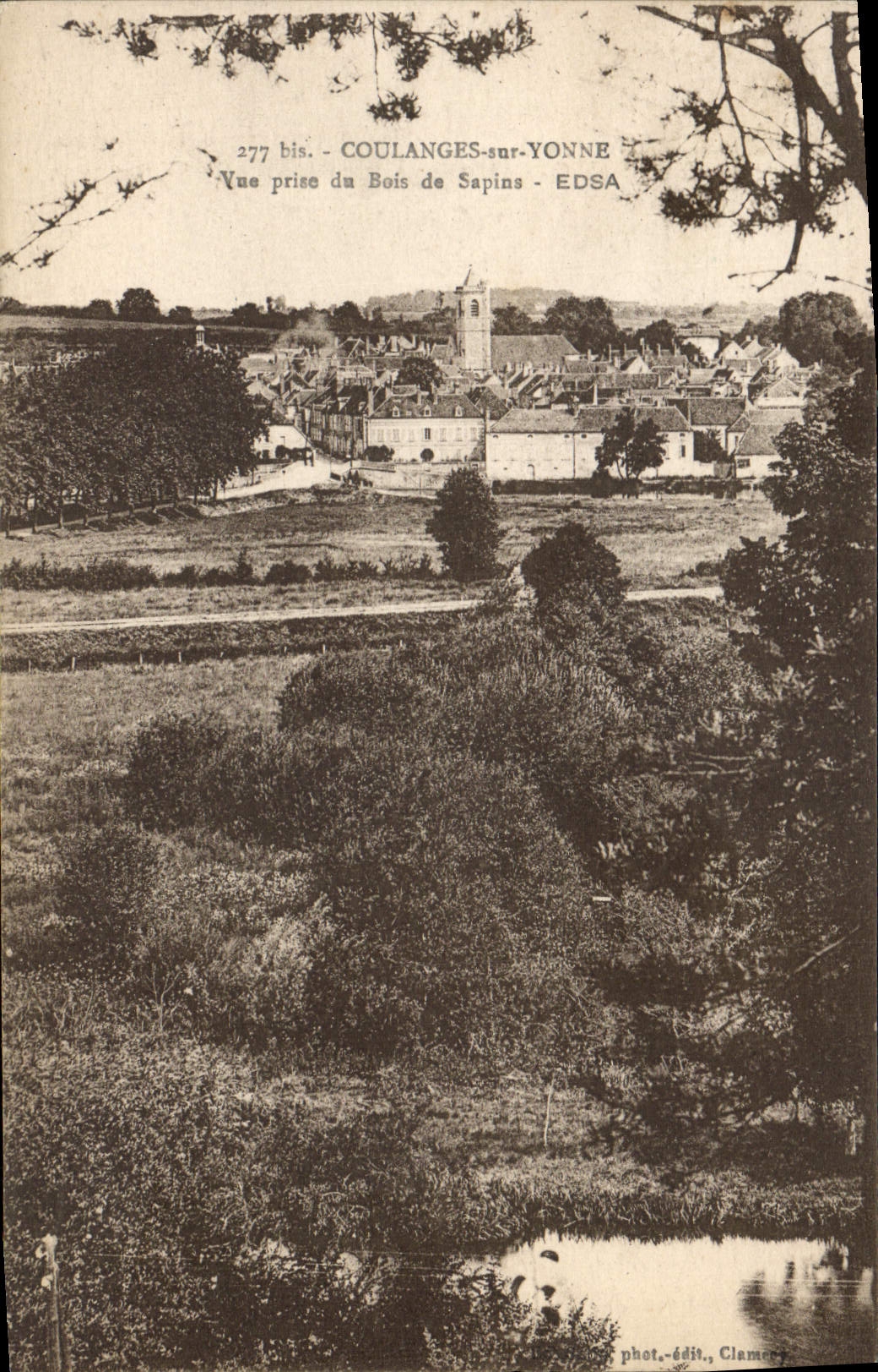 CPA Coulanges Sur Yonne Vue Prise Du Bois De Sapins Edsa