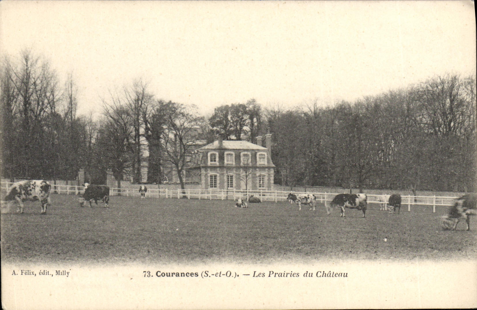 CPA Courances Les Prairies Du Château