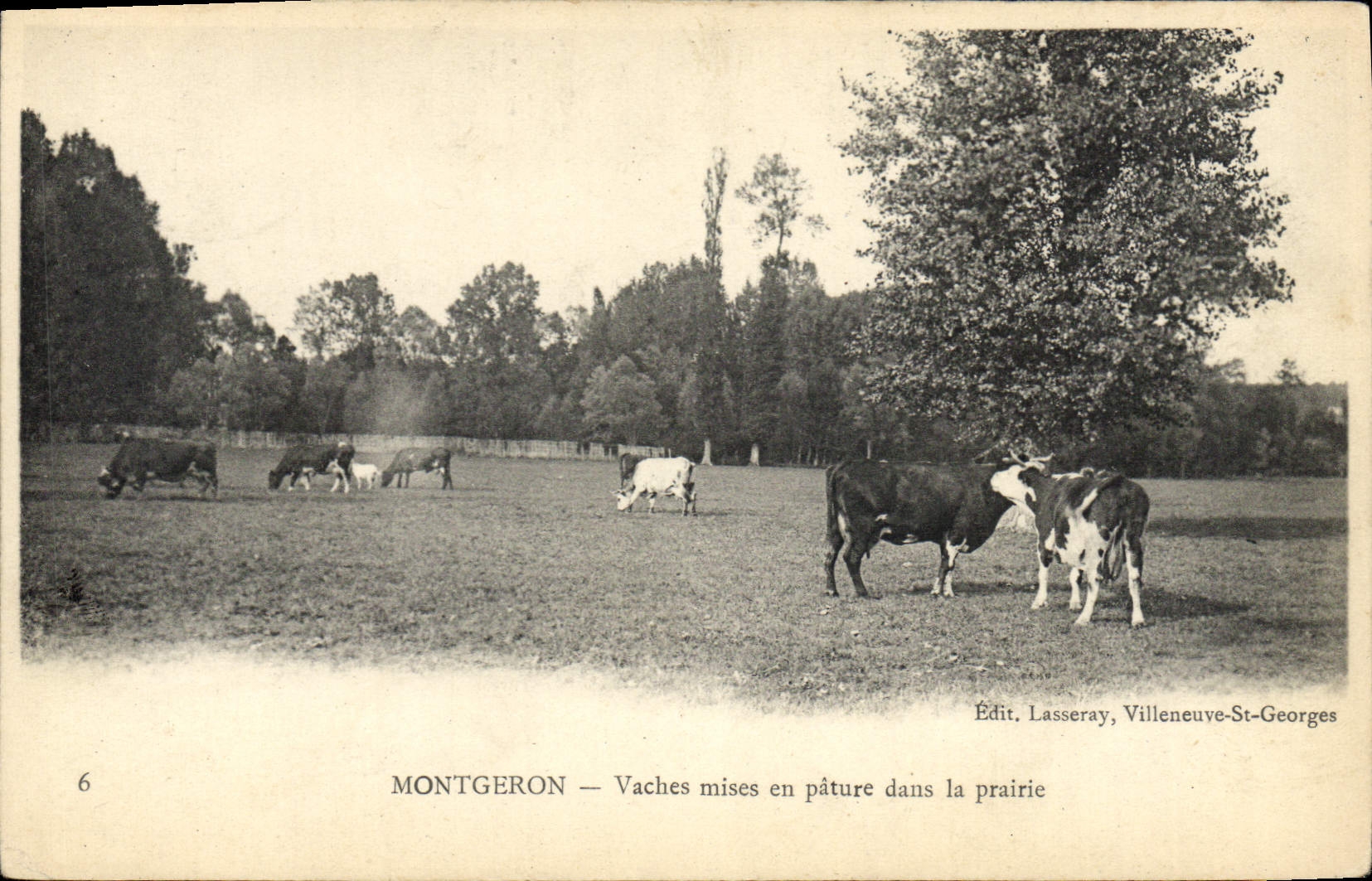 CPA Montgeron Vaches Mises En Pature Dans La Prairie
