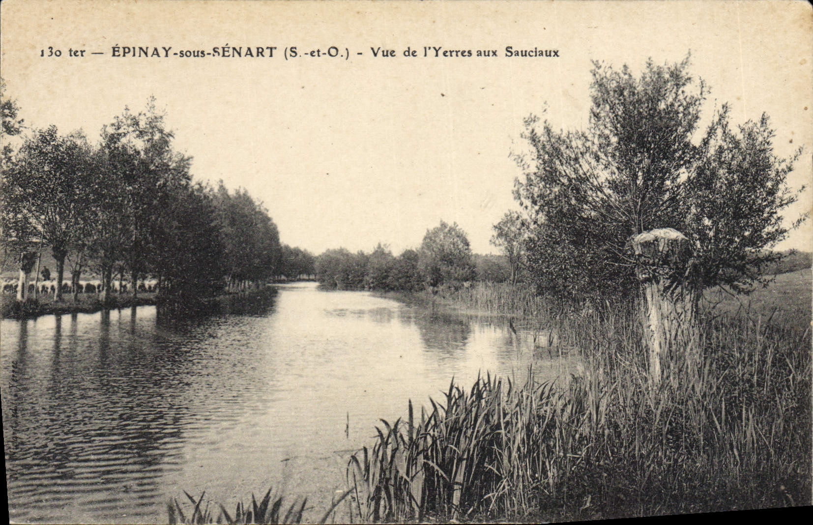 CPA Epinay Sous Senart Vue De I'Yerres Aux Sauclaux