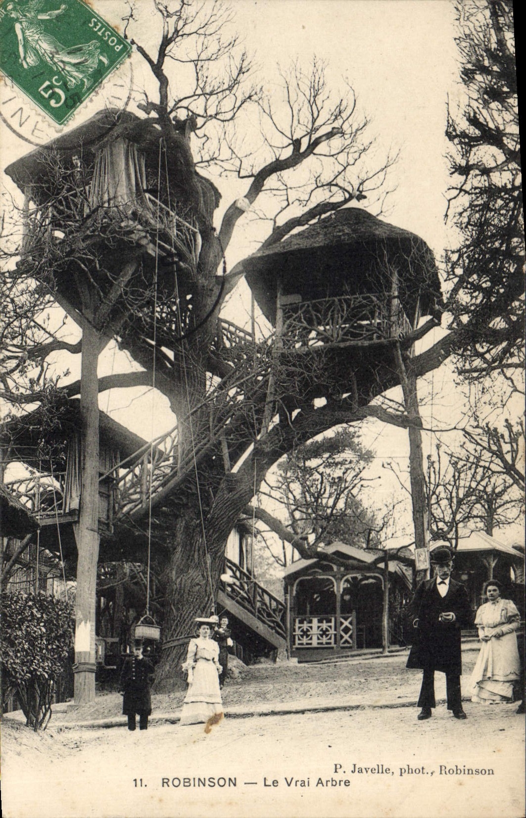 CPA Robinson Le Vrai Arbre
