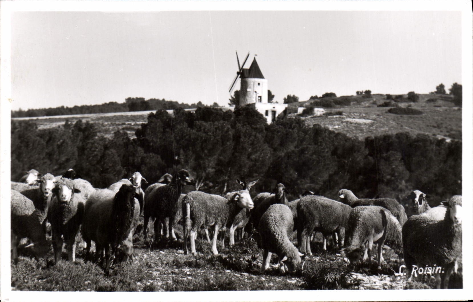 CPA Arles Le Moulin De Daudet