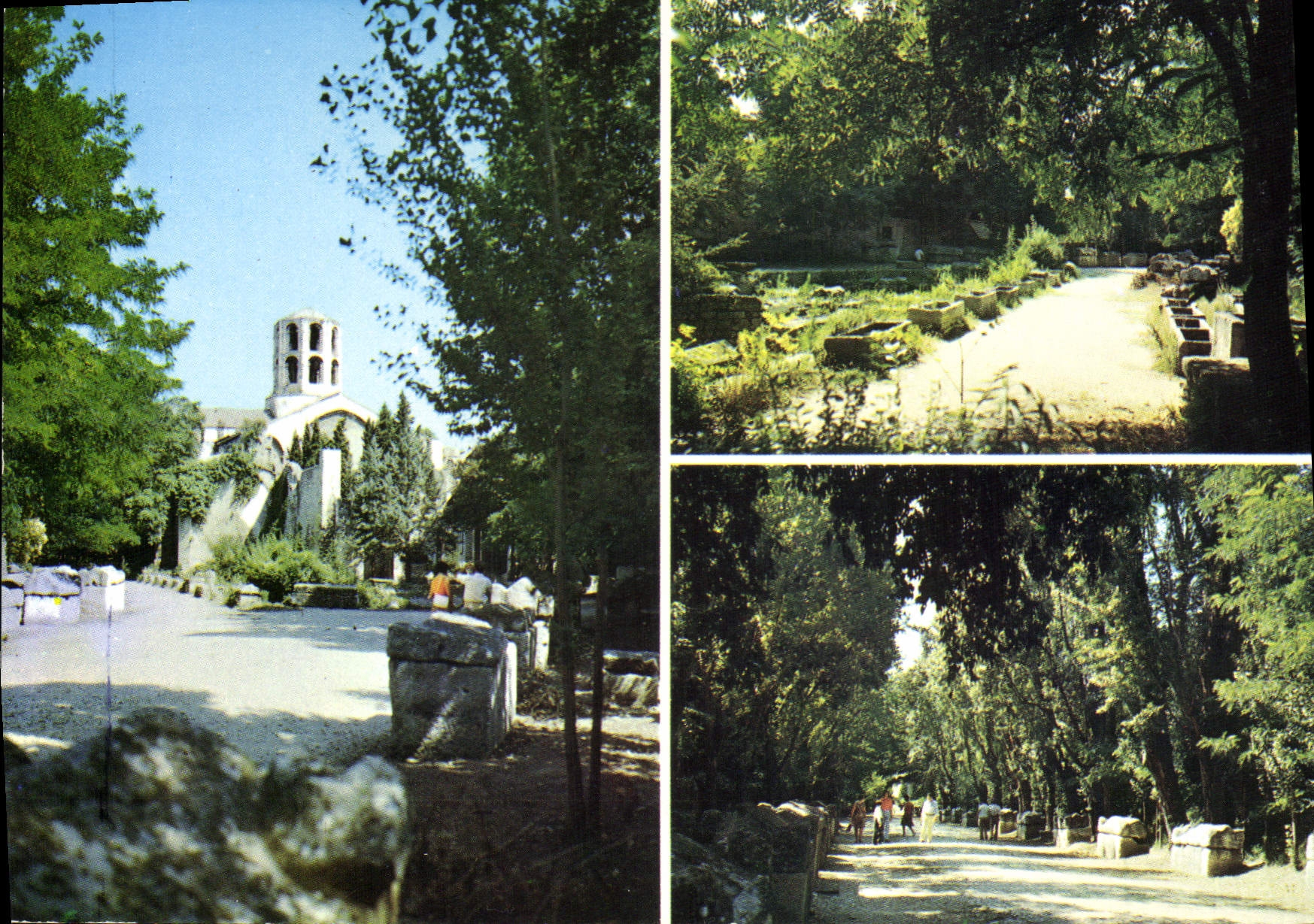 CPSM Arles Saint Honorat Les Alyscamps