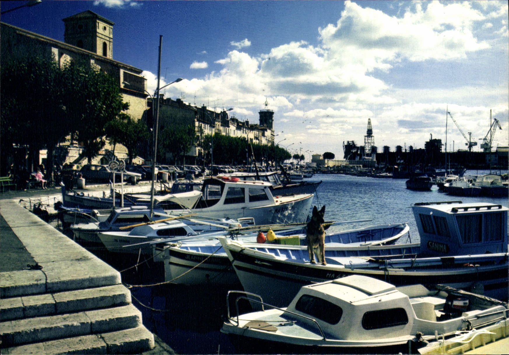 CPSM La Ciotat Le Vieux Port