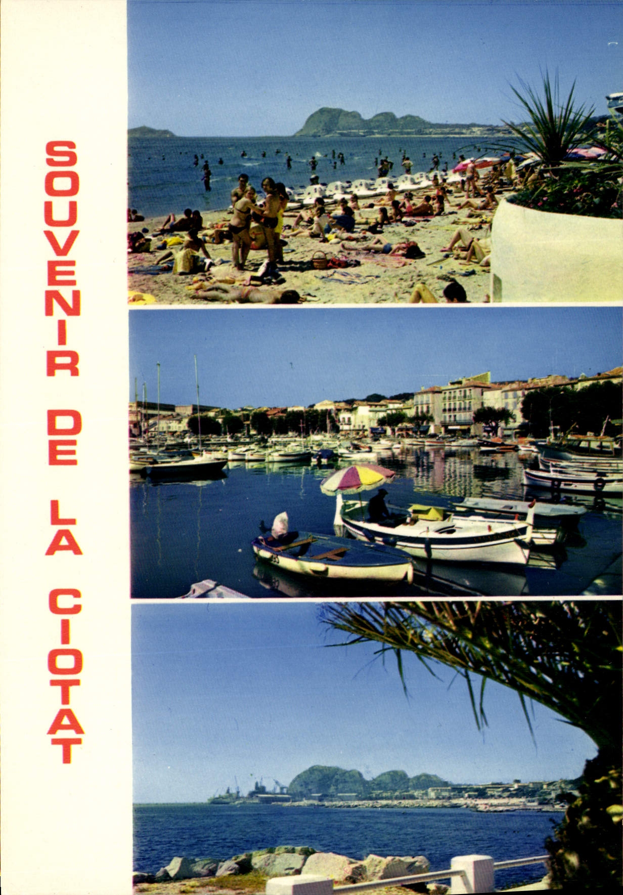 CPSM Souvenir De La Ciotat
