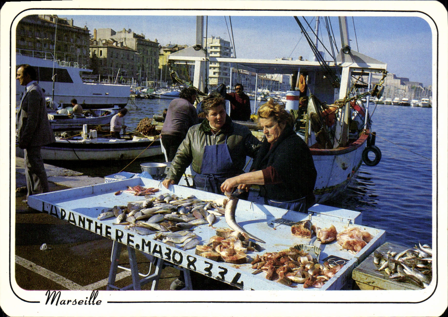 CPSM Marseille Retour De La Peche Sur Le Vieux Port