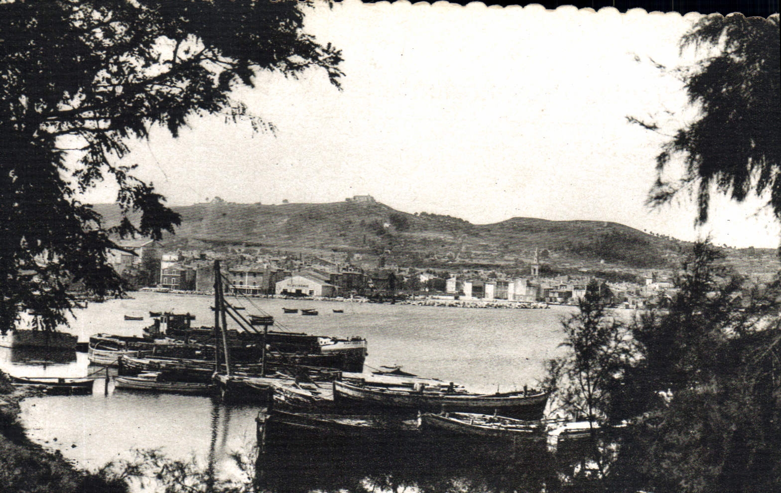 CPSM Martigues Vue Generale