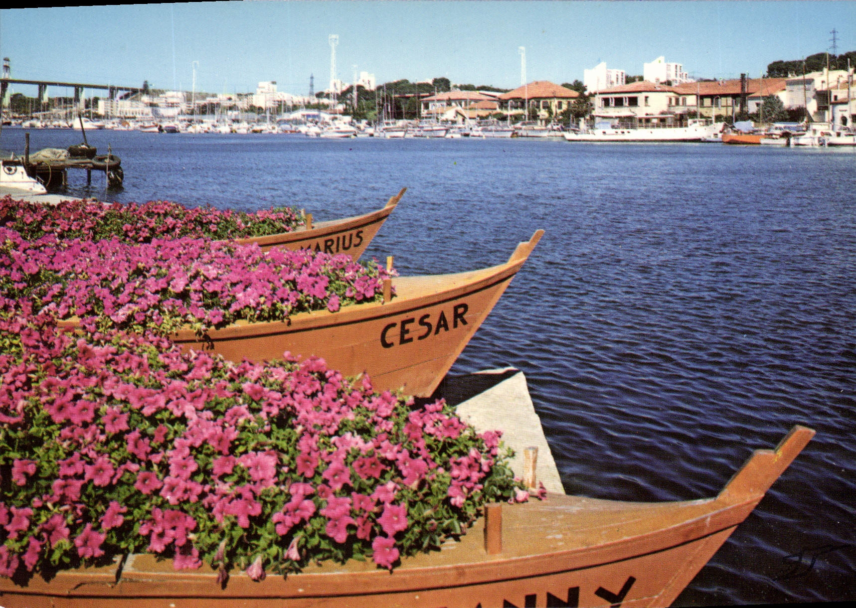 CPSM Martigues La Venise Provencale