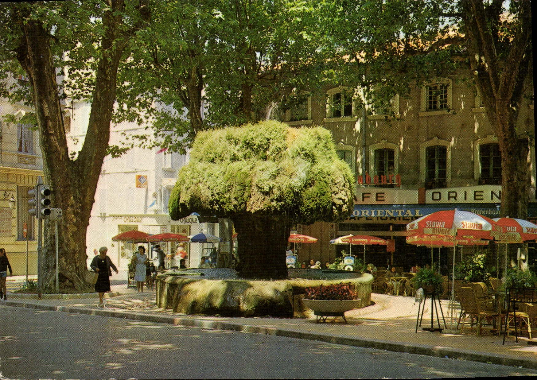 CPSM Salon De Provence Fontaine Moussue